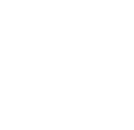 Eagle Icon