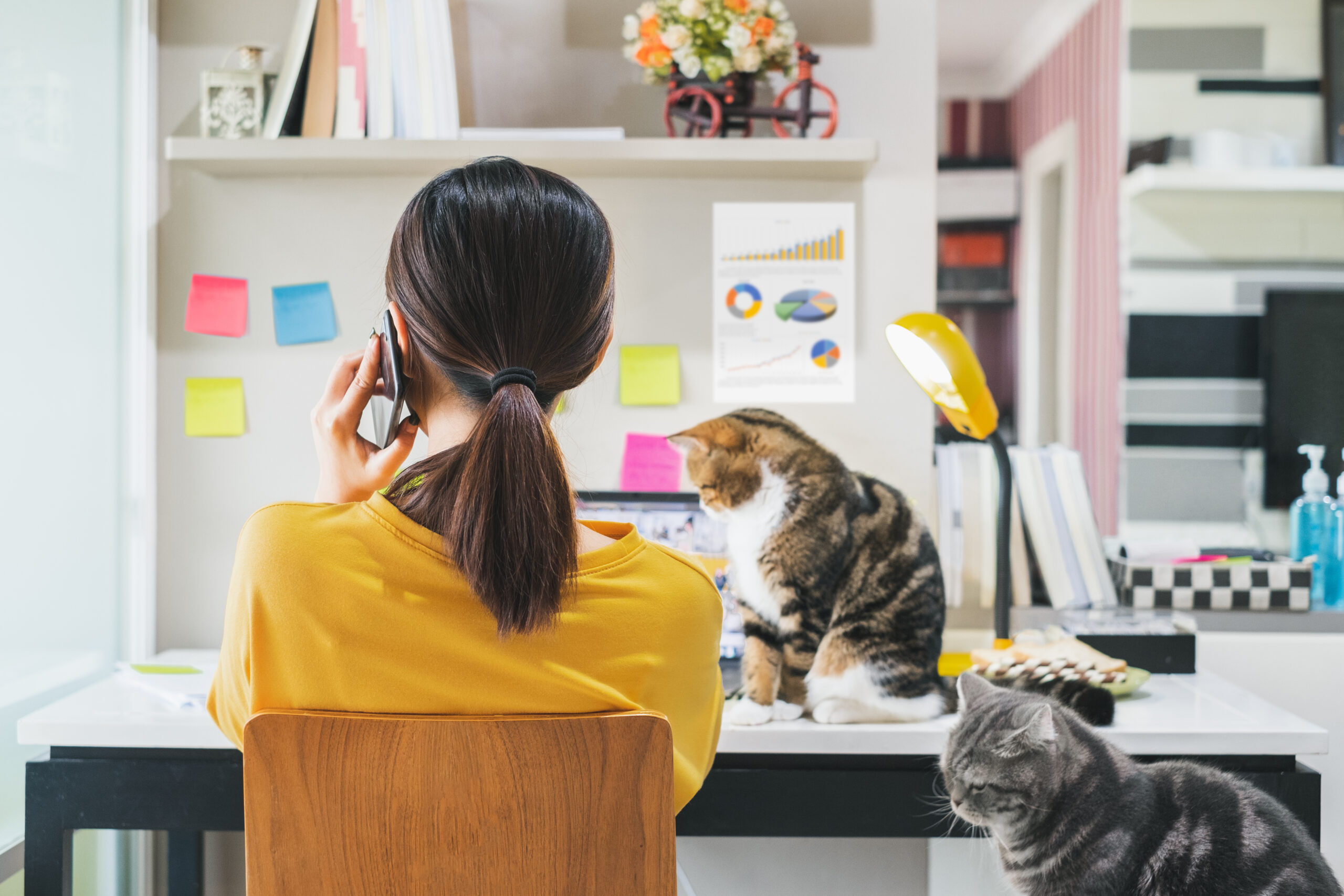 back of woman teleworking with cats beside her