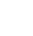 Group 271 Eagle Icon
