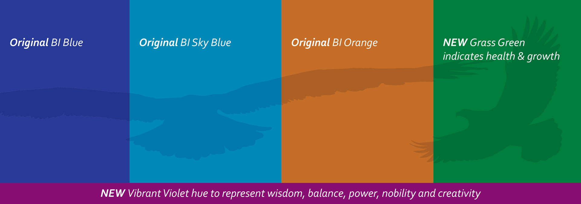 BI brand guide colors